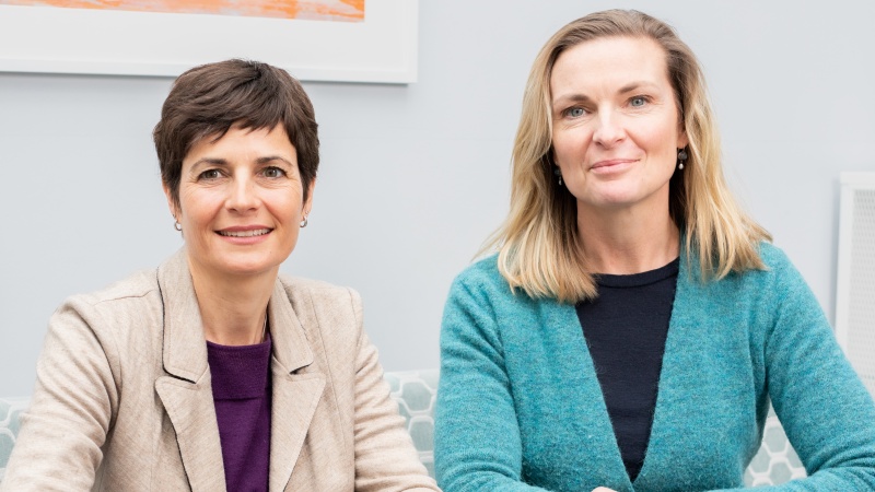 Bossche mediators