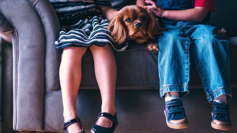 kinderen op bank met hondje